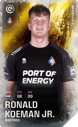 Ronald Koeman - limited