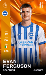 Evan Ferguson - limited