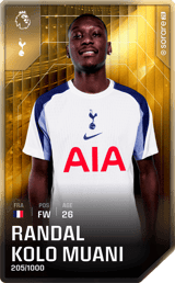Randal Kolo Muani - limited