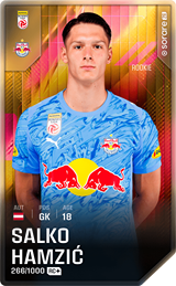 Salko Hamzić - limited