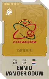Ennio van der Gouw - limited