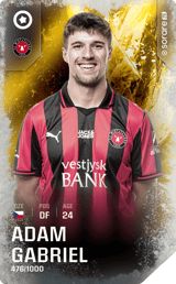 Adam Gabriel - limited