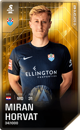 Miran Horvat - limited