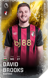 David Brooks - limited