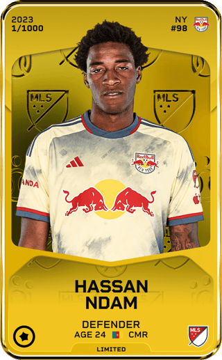 Hassan Ndam