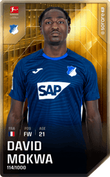 David Mokwa - limited