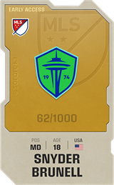 Snyder Brunell - limited