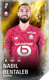 Nabil Bentaleb - limited