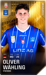 Oliver Wähling - limited