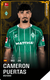 Cameron Puertas - limited