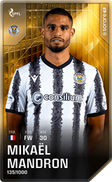 Mikaël Mandron - limited