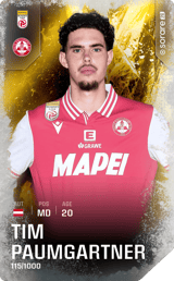 Tim Paumgartner - limited