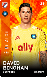 David Bingham - limited