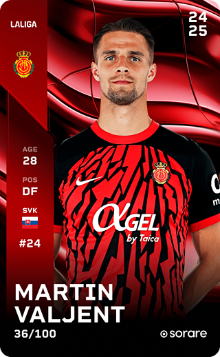 Martin Valjent - rare