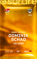 Dominik Schad - limited