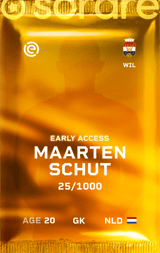 Maarten Schut - limited