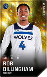 Rob Dillingham - limited