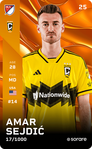 Amar Sejdić - limited