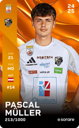 Pascal Müller - limited