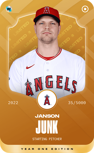 Janson Junk - limited