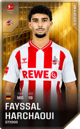 Fayssal Harchaoui - limited