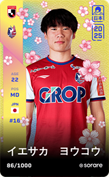 Yoko Iesaka - limited