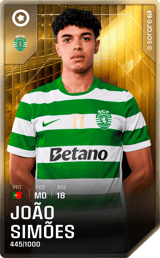 João Simões - limited