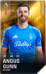 Angus Gunn - limited