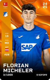 Florian Micheler - limited
