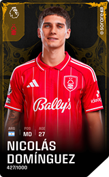 Nicolás Domínguez - limited