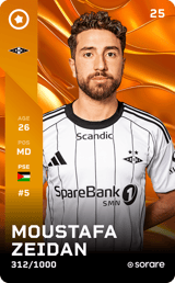 Moustafa Zeidan - limited