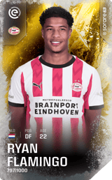 Ryan Flamingo - limited