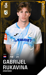 Gabrijel Rukavina - limited