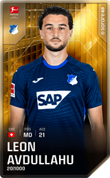 Leon Avdullahu - limited