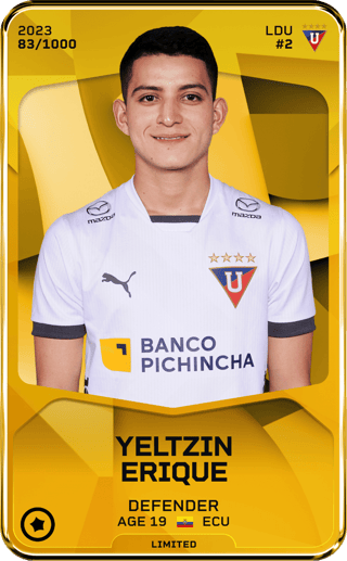 Yeltzin Erique - limited