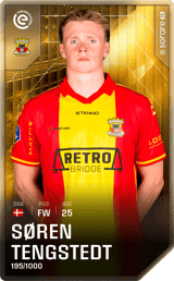 Søren Tengstedt - limited