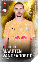 Maarten Vandevoordt - limited