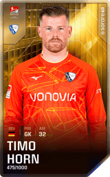 Timo Horn - limited