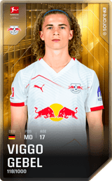 Viggo Gebel - limited