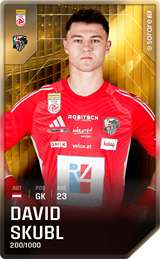 David Skubl - limited