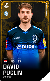 David Puclin - limited