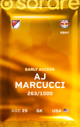 Anthony Marcucci Jr.  - limited