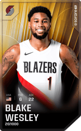 Blake Wesley - limited