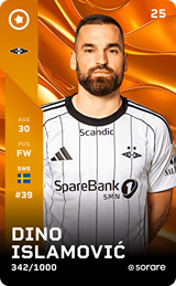 Dino Islamović - limited