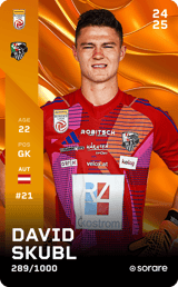 David Skubl - limited