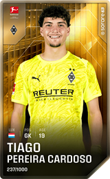 Tiago Pereira Cardoso - limited