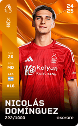 Nicolás Domínguez - limited