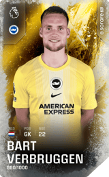 Bart Verbruggen - limited