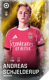 Andreas Schjelderup - limited