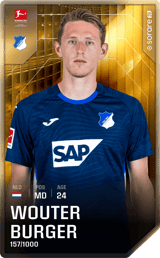 Wouter Burger - limited